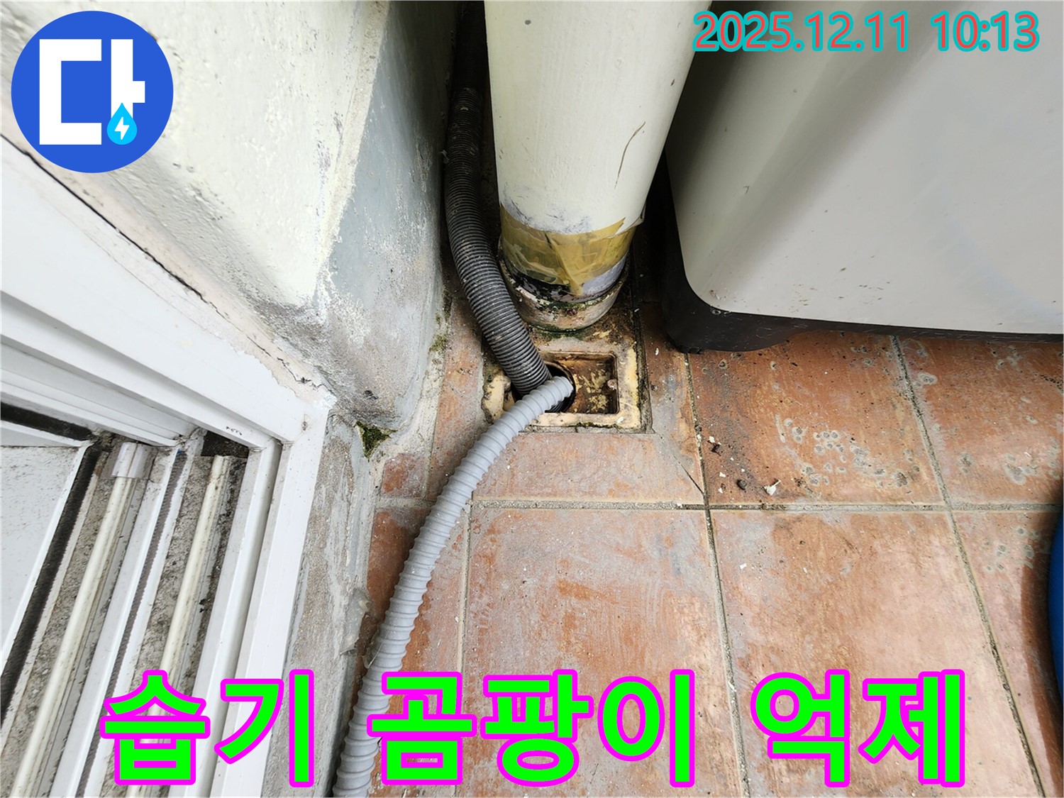 세탁실 배수구 주변 습기 - 곰팡이 발생 억제 조치!