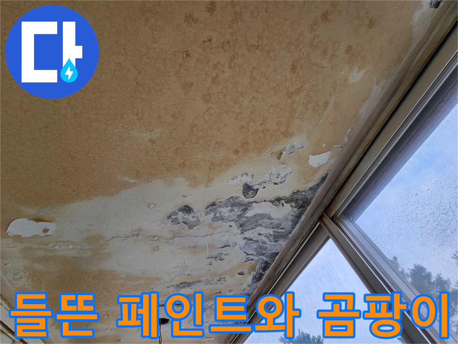 습기로 인해 부풀어 오른 천장 페인트층과 곰팡이 발생 부위