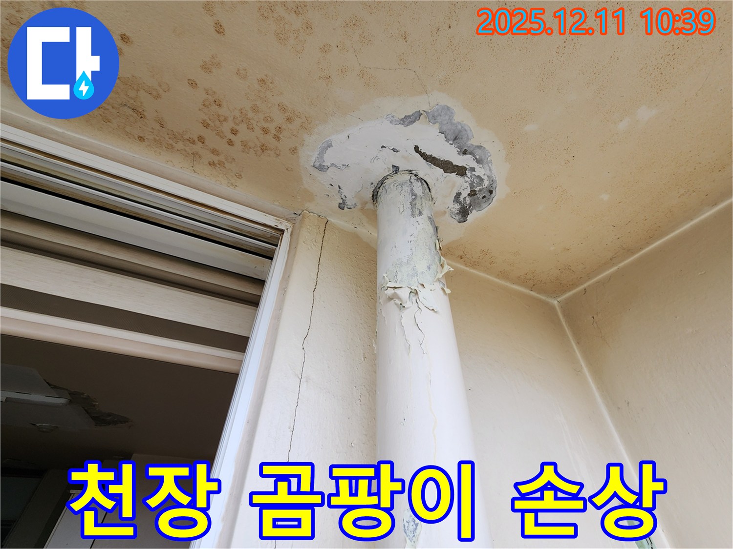 심각한 천장 오염 - 곰팡이 - 배관 손상 - 긴급 진단