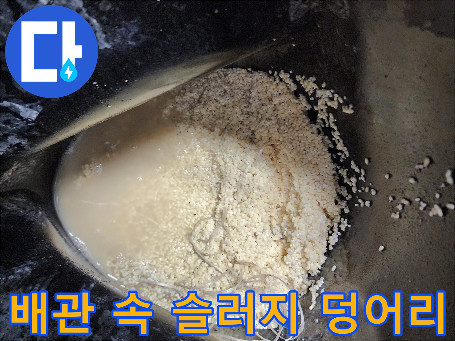 싱크대 배관 내부에서 추출된 누런 기름 슬러지와 이물질 덩어리