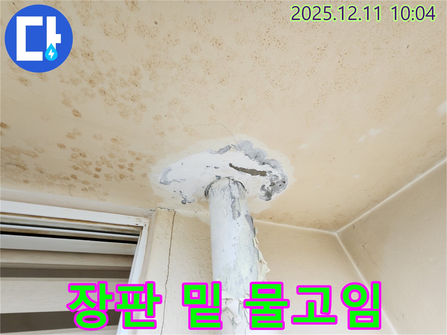 장판 밑 물고임 - 심각한 누수!