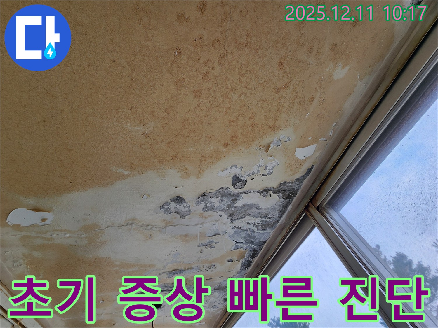 천장 누수 초기 - 전문가 문의