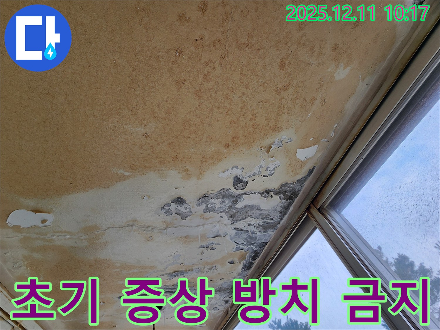 천장 누수 초기 - 전문가 상담 필수