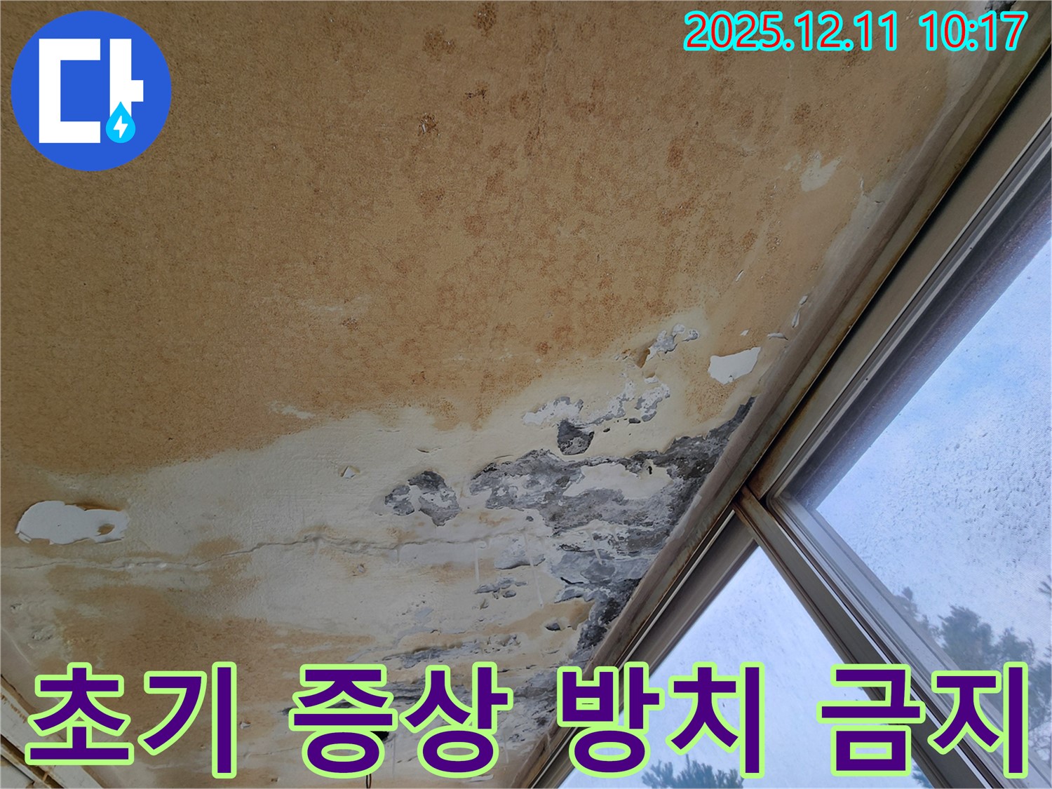천장 누수 - 초기 증상, 전문가 상담
