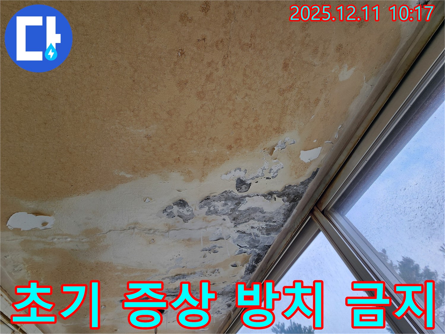 천장 누수 - 초기 증상, 전문가 상담