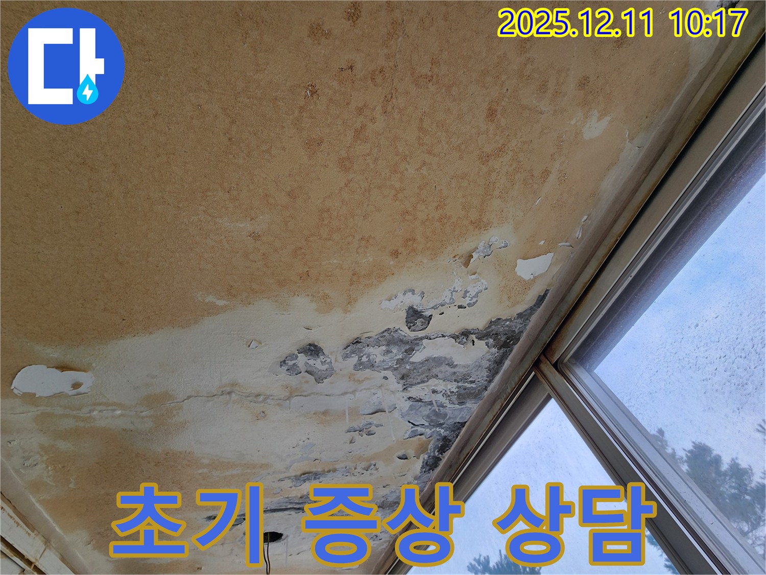 천장 누수 - 초기 증상, 전문가 상담 필수
