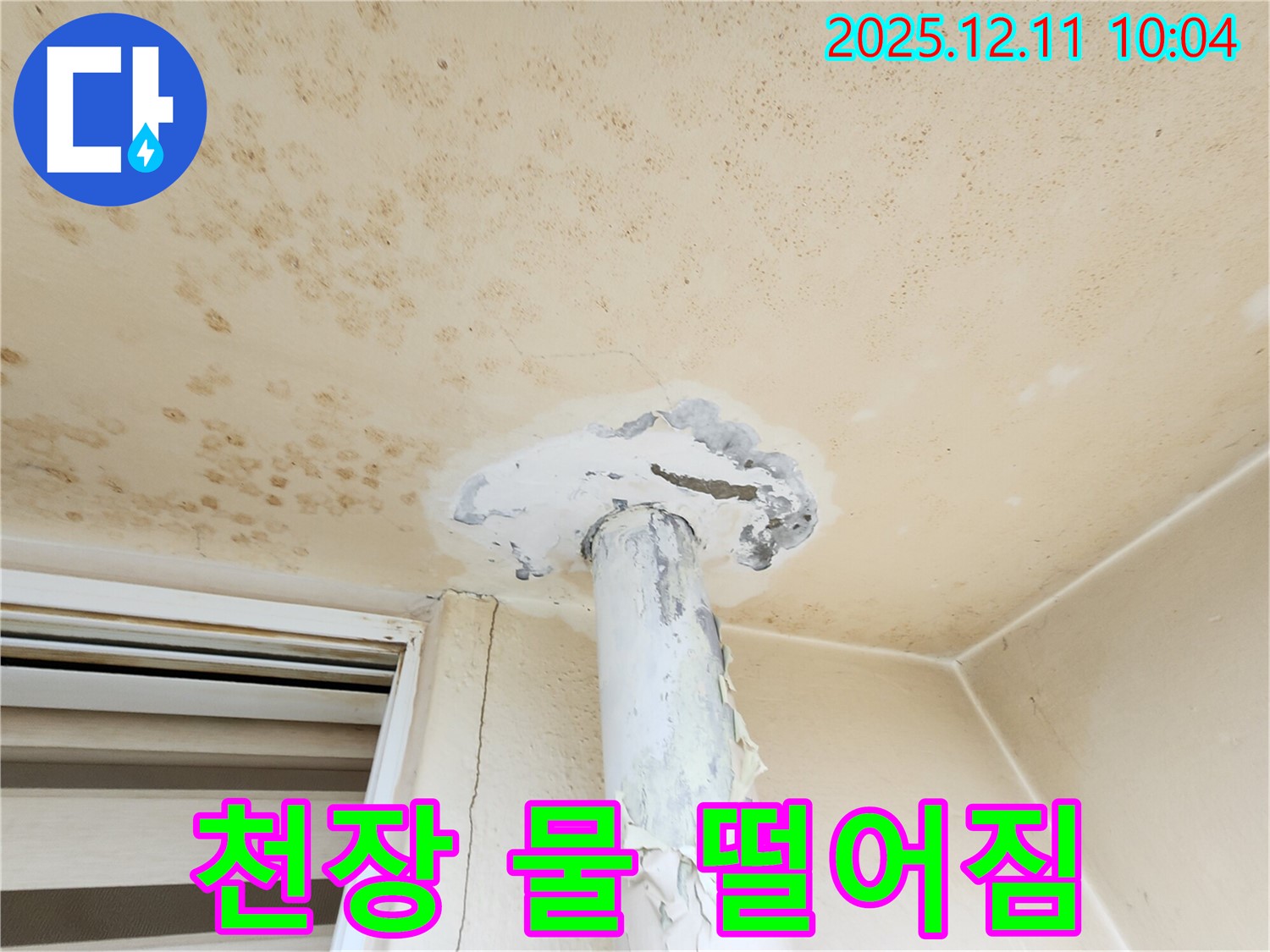 천장 물 떨어짐 - 긴급 상황!