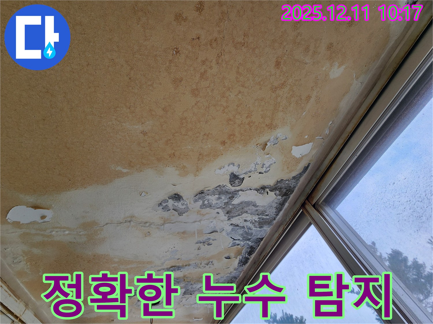 최첨단 장비 - 정확한 지점 탐지, 합리적 견적