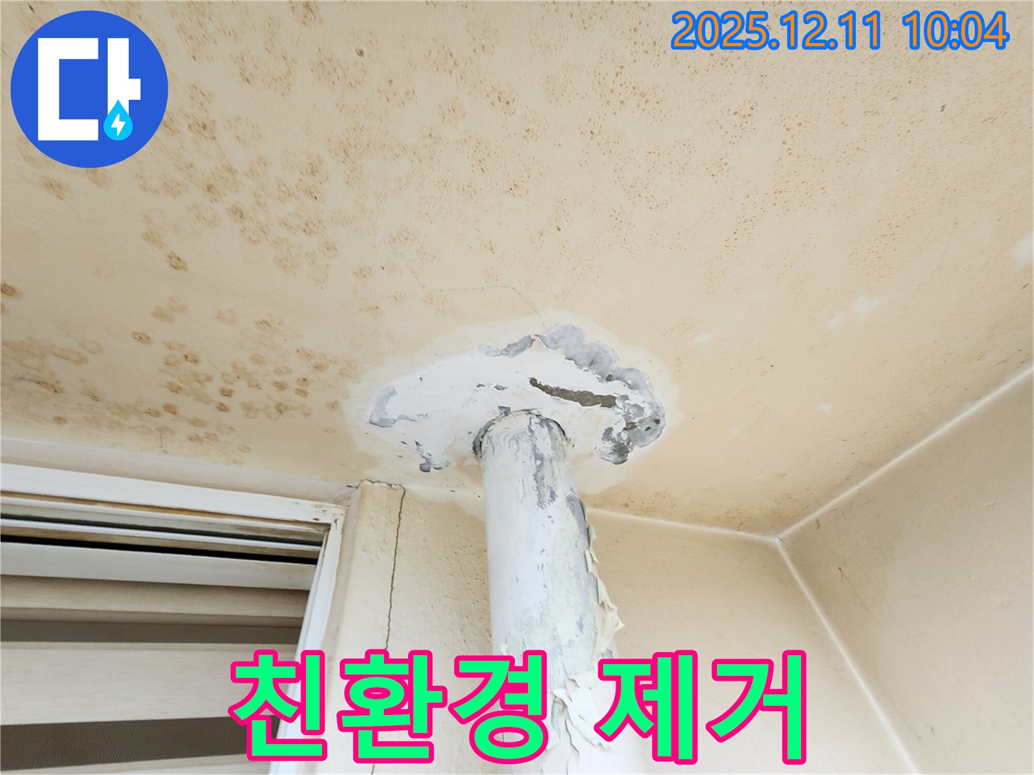 친환경 곰팡이 제거 - 안전하고 건강하게!