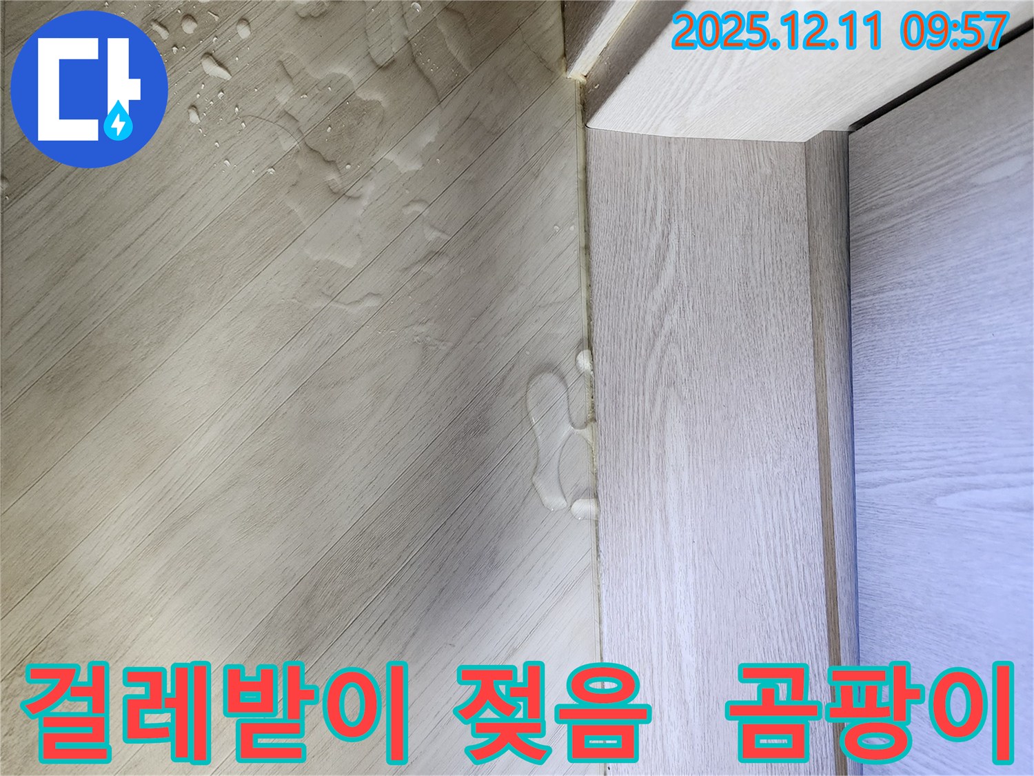 포천 걸레받이 젖음 - 곰팡이 냄새, 건강 적신호!