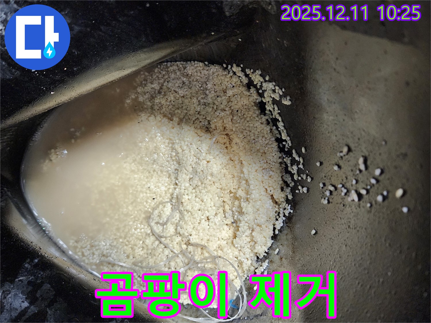 포천 누수 - 곰팡이 제거, 쾌적한 환경으로 복구