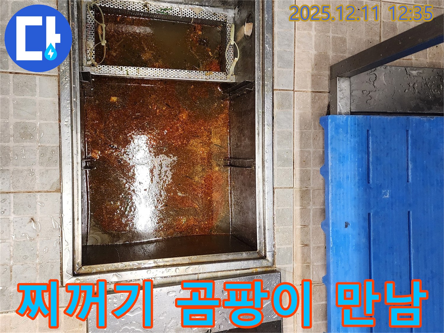 포천 영중면 영송리 - 기름 분리조, 기름 찌꺼기와 곰팡이의 만남
