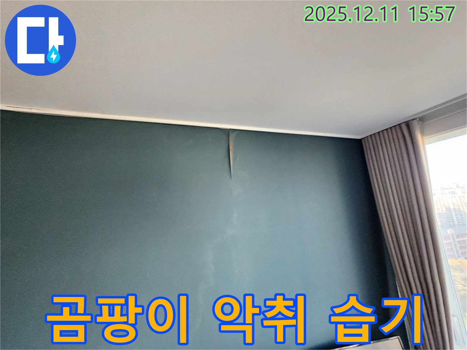 곰팡이 - 악취 - 습기 3중고 - 포천 누수 전문가의 완벽 해결