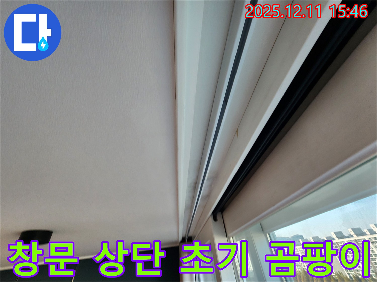남궁리 주택 창문 누수 - 상단 초기 곰팡이 완벽 차단 공사 준비 완료