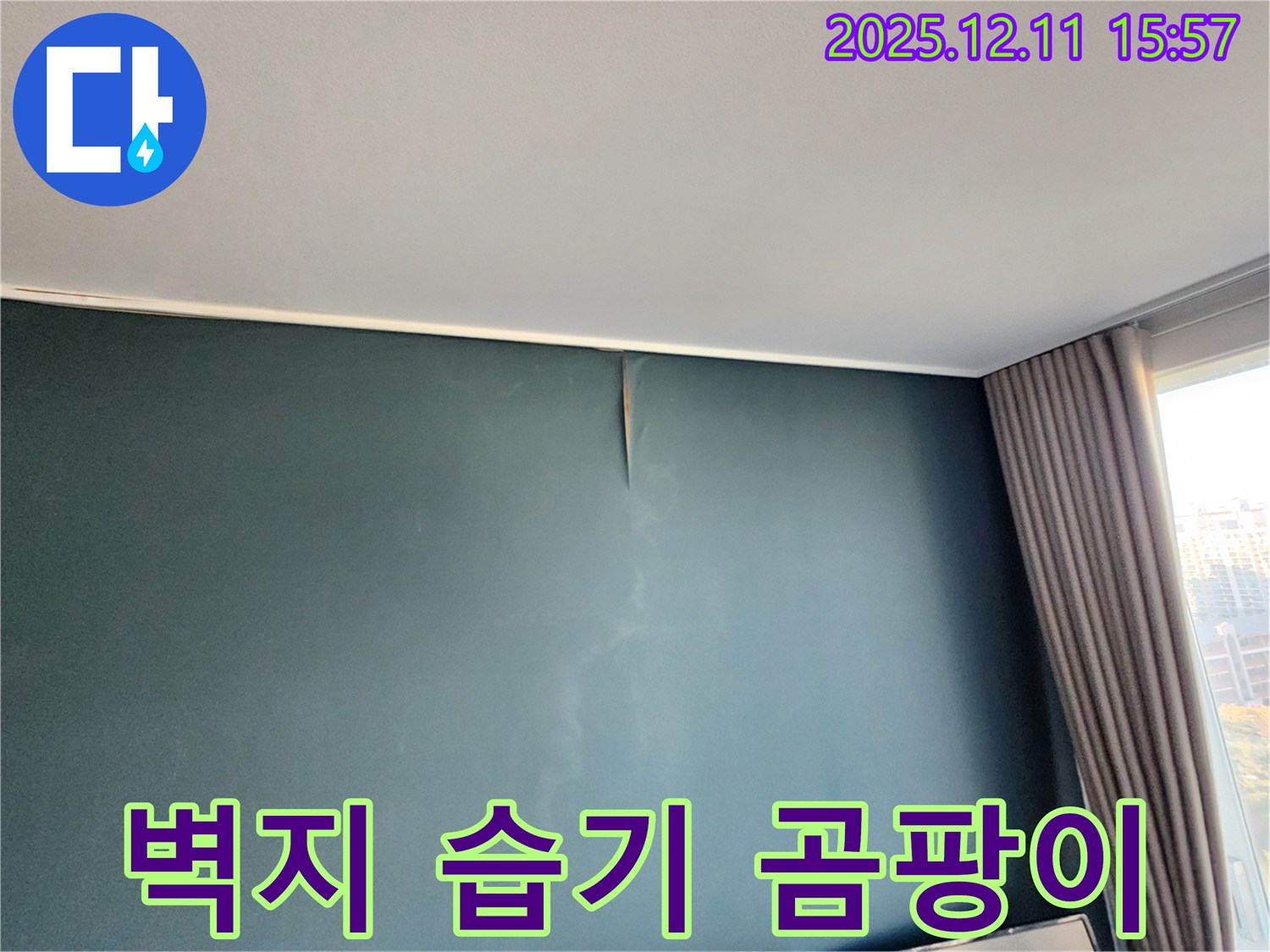 들뜬 벽지 - 습기 - 곰팡이 - 포천 누수 전문가의 종합 점검