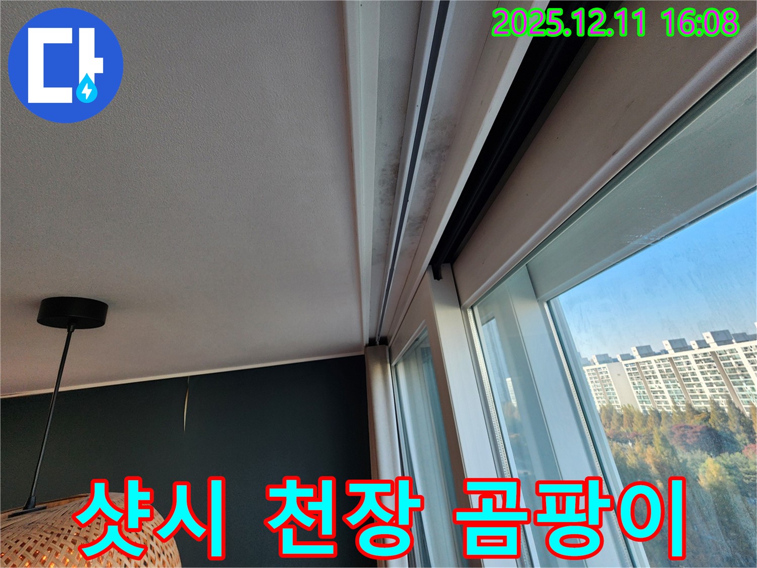 샷시 천장 곰팡이 - 누수 차단 - 남궁리 - 꼼꼼 시공