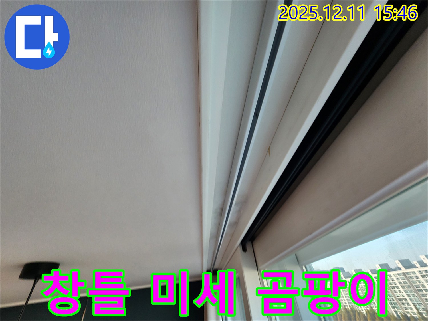 양지말 창틀 상단 미세 곰팡이 - 초기 점검으로 누수 문제 해결