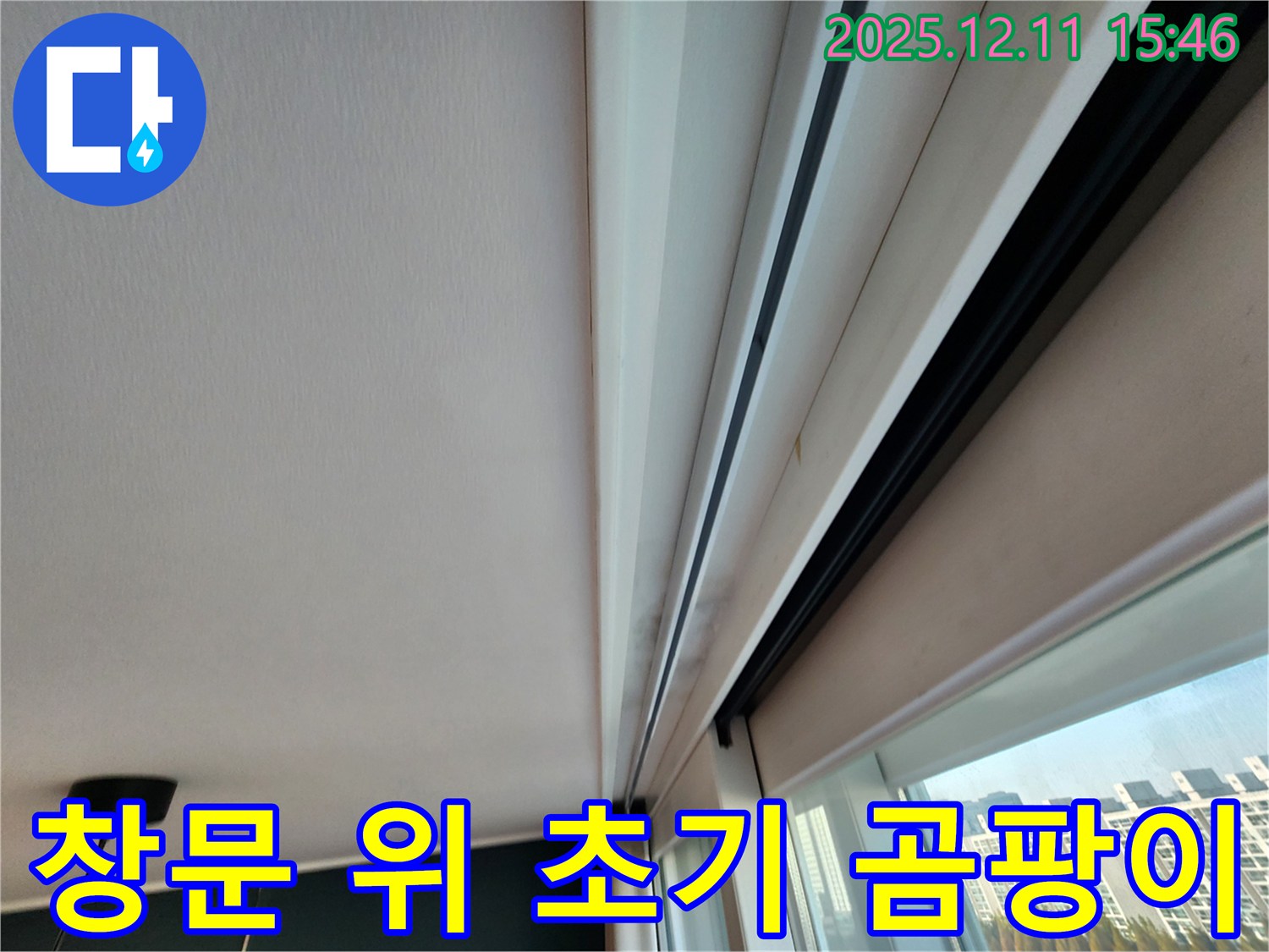 영중면 양지말 창문 위 초기 곰팡이 - 신속한 조치로 누수 확산 방지