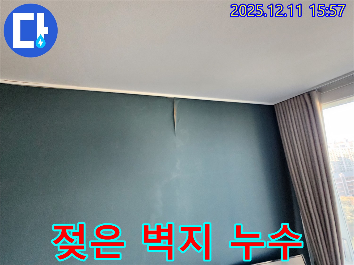 젖은 벽지 - 곰팡이 발생 가능성 - 포천 누수 전문가의 신속한 해결