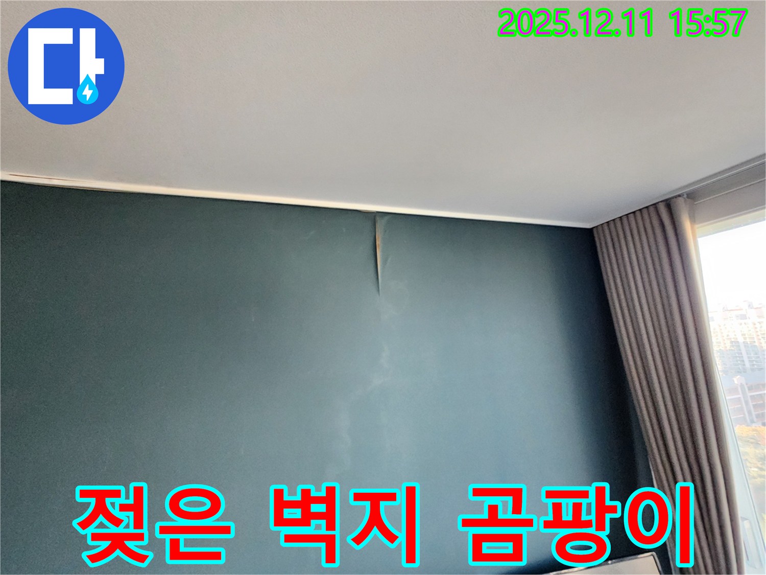 젖은 벽지 - 곰팡이 번식 - 포천 누수 전문가의 신속 해결