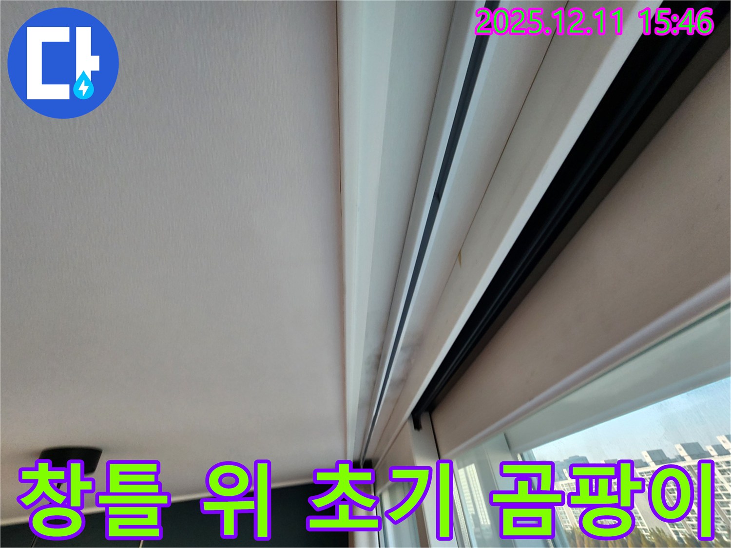 포천 영중면 건물 창틀 누수 - 위 초기 곰팡이 완벽 해결 자신감