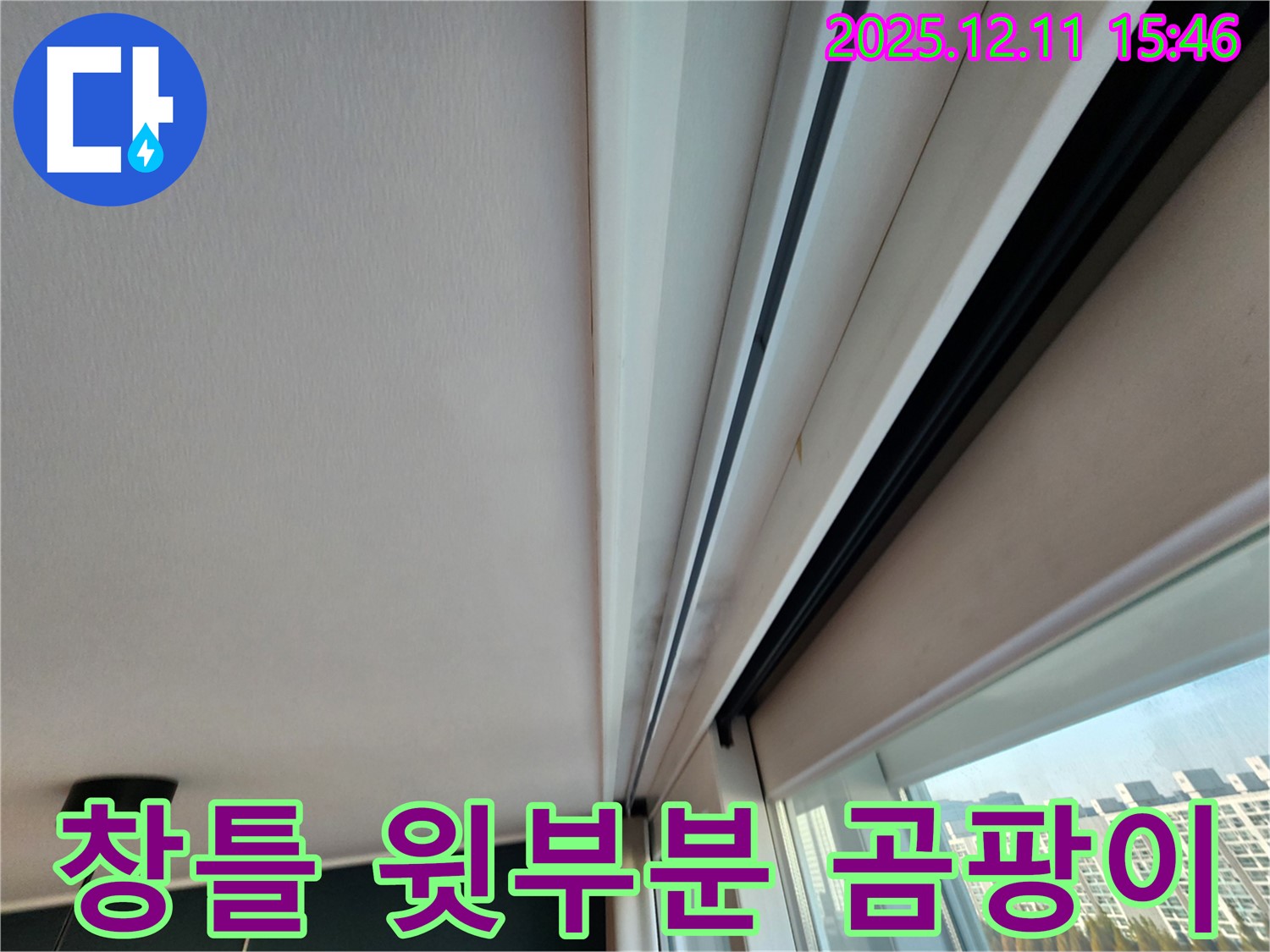포천 영중면 양지말 창틀 윗부분 초기 곰팡이 - 초기 진단으로 문제 해결 시작