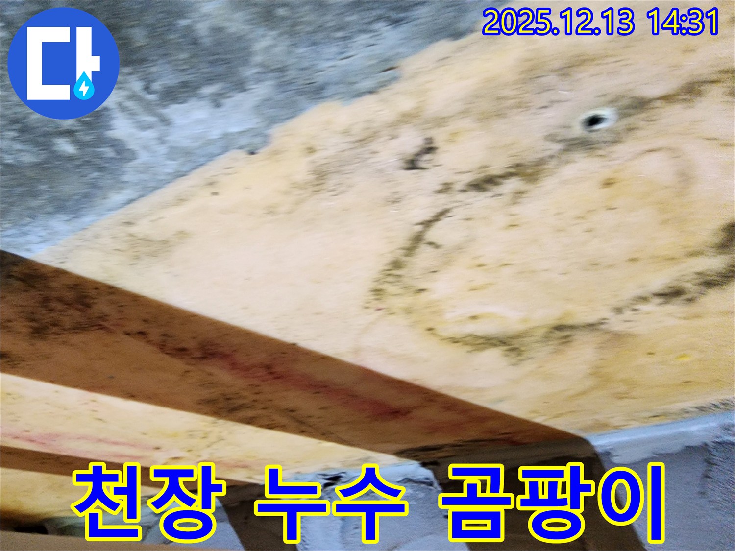천장 누수 - 곰팡이와 물 자국으로 인한 피해