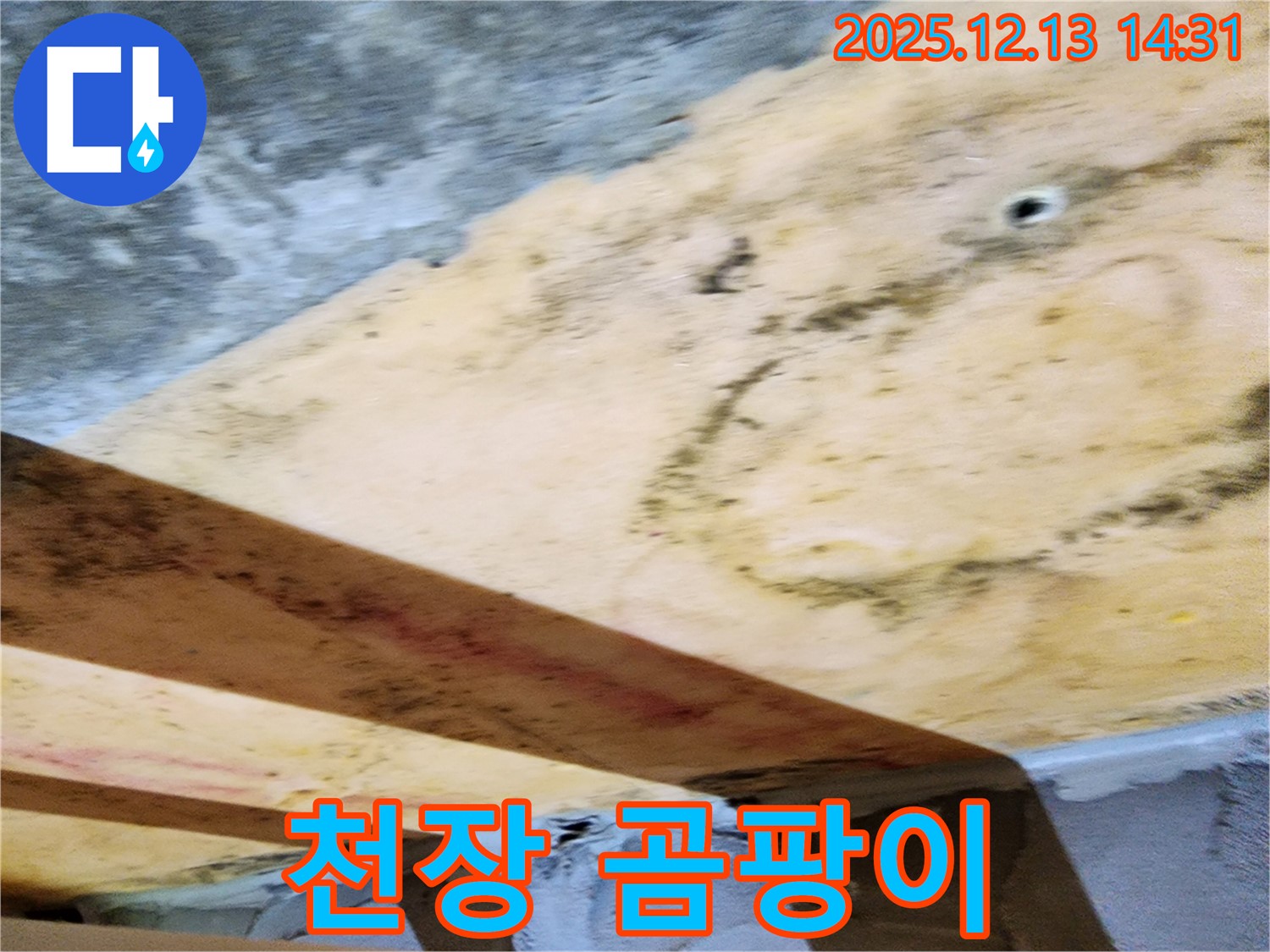 천장에 발생한 곰팡이 사진 - 누수로 인해 습기가 높아져 곰팡이가 번식한 모습이다.