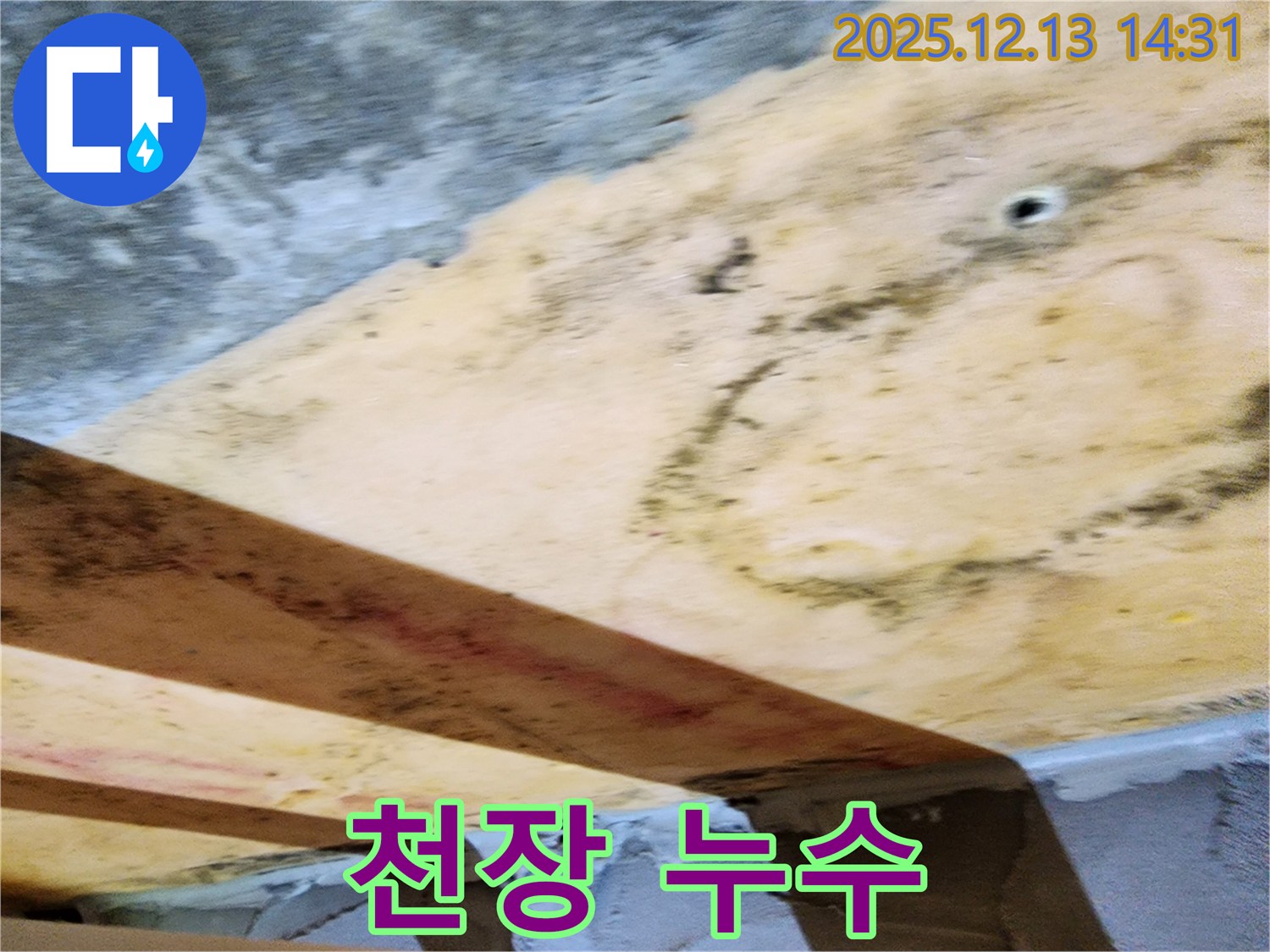 천장에서 물이 떨어지는 모습 - 누수가 심각한 상황임을 보여준다.