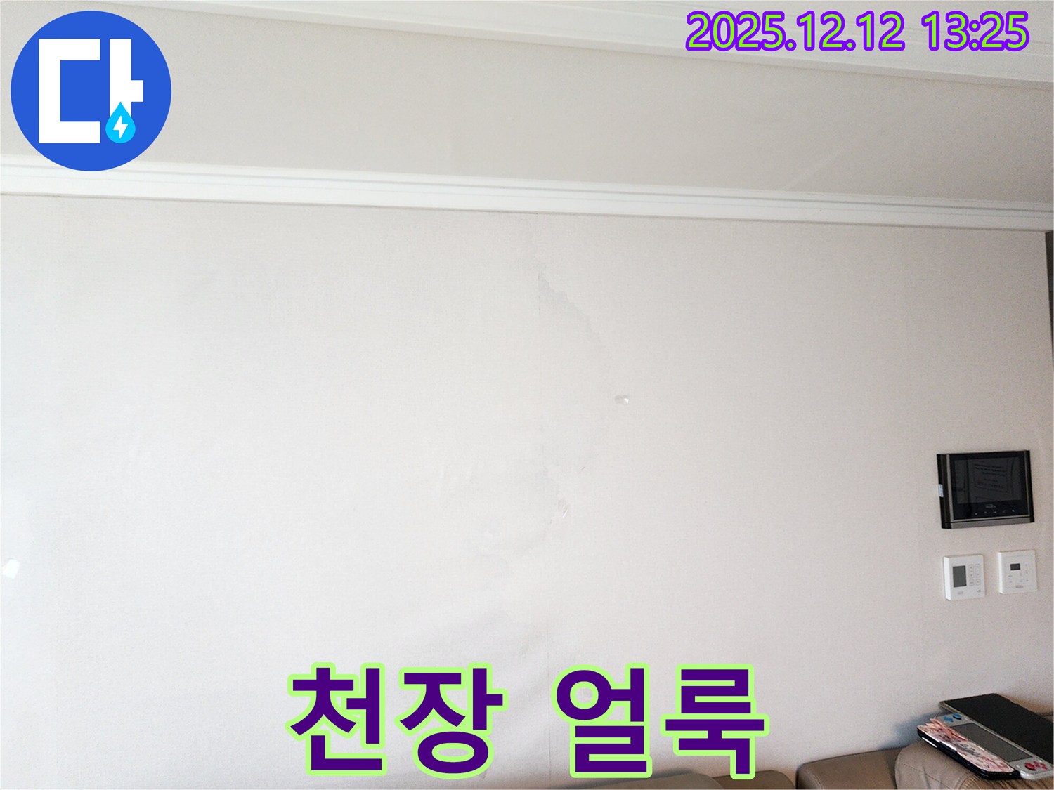 천장 얼룩 - 누수 의심