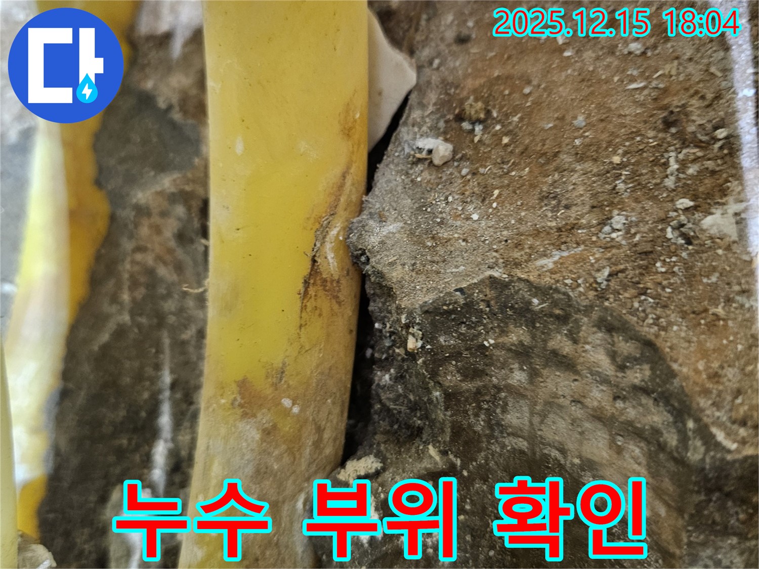 장안동 래미안장안2차 아파트 누수 현장 - 누수 부위 상세 확인