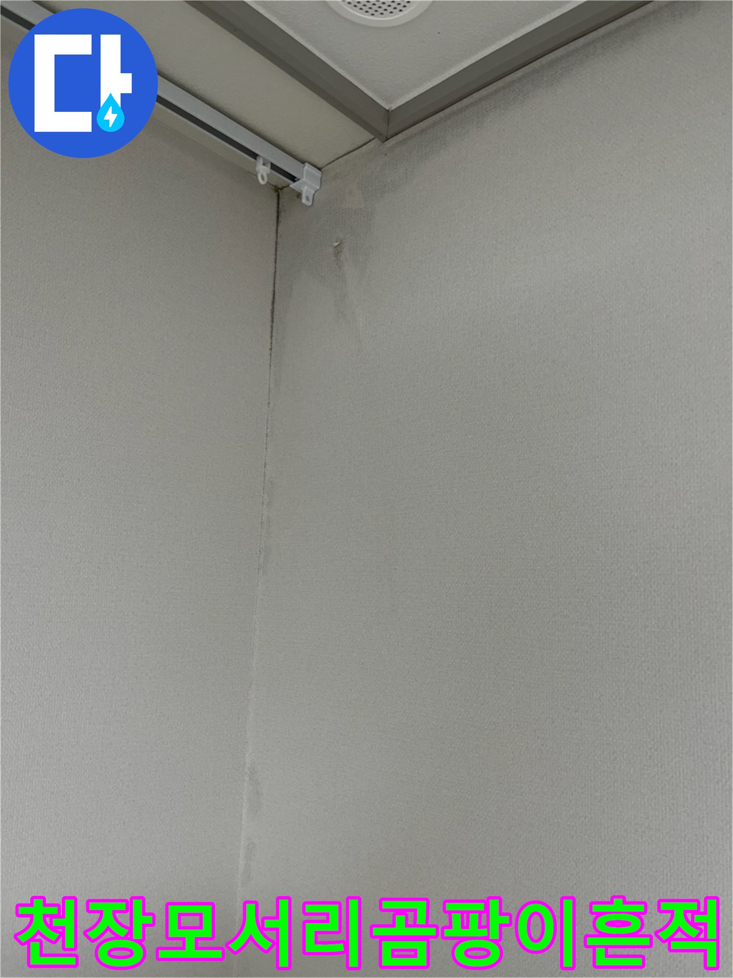 천장과 벽면 경계 부위의 곰팡이 및 변색된 벽지