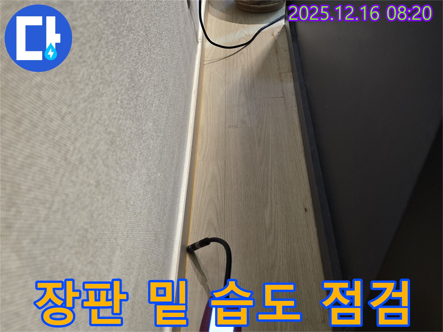 장판 밑 습도 측정 - 꼼꼼한 누수 사전 점검