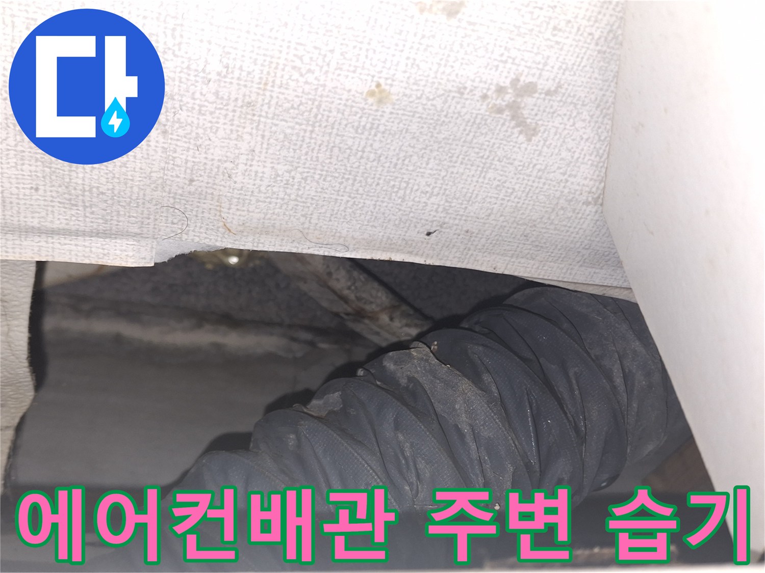 에어컨-드레인-배관-주변의-습기-및-오염-상태