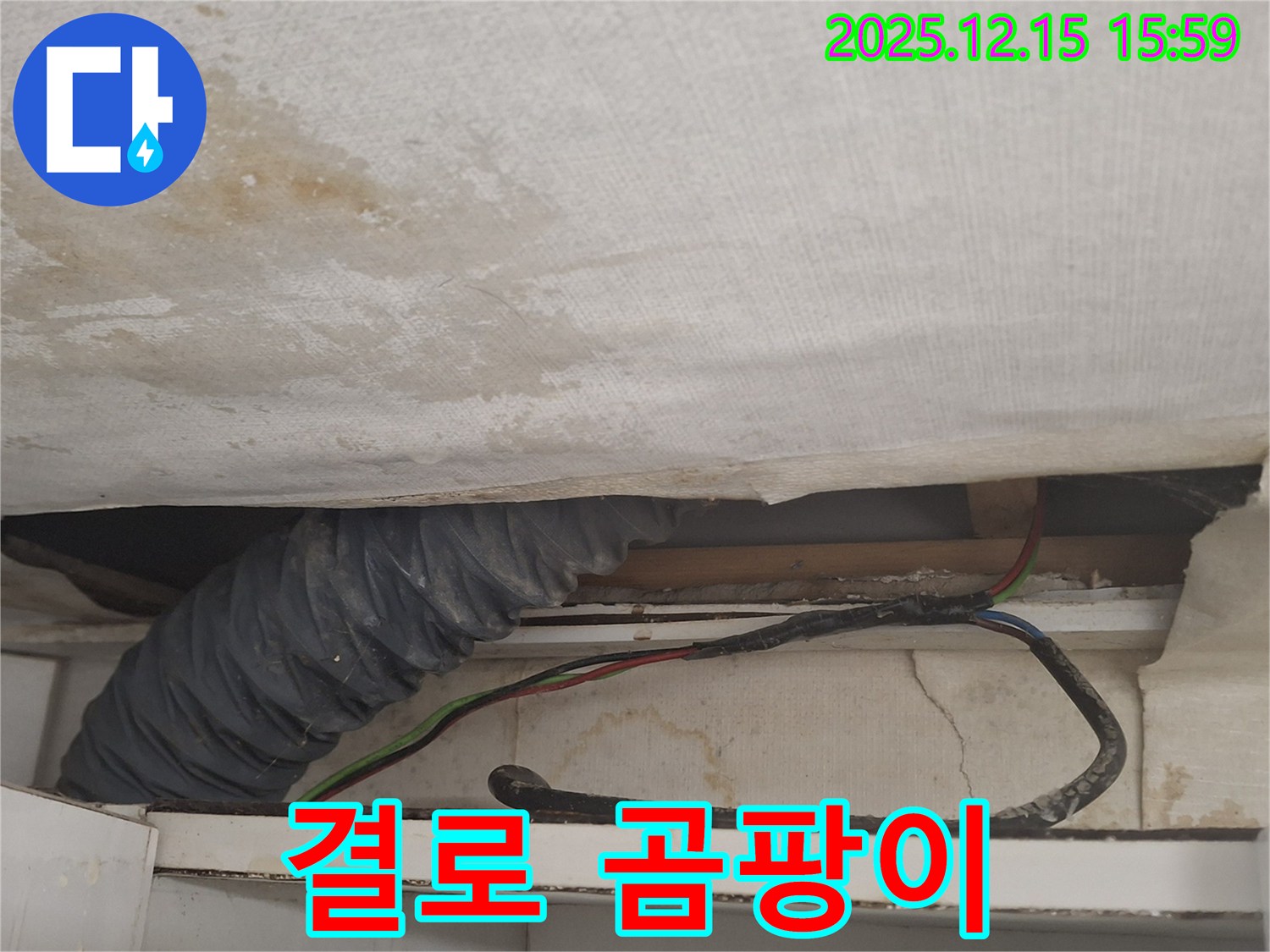 중계2-3동 누수 - 결로 현상으로 인한 곰팡이 발생 의심