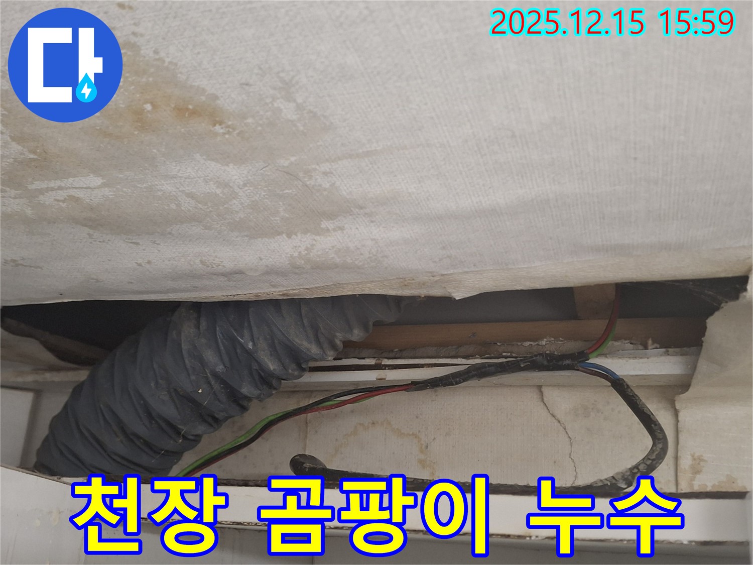 중계2-3동 누수 - 천장 곰팡이 발생 초기 단계 누수 의심