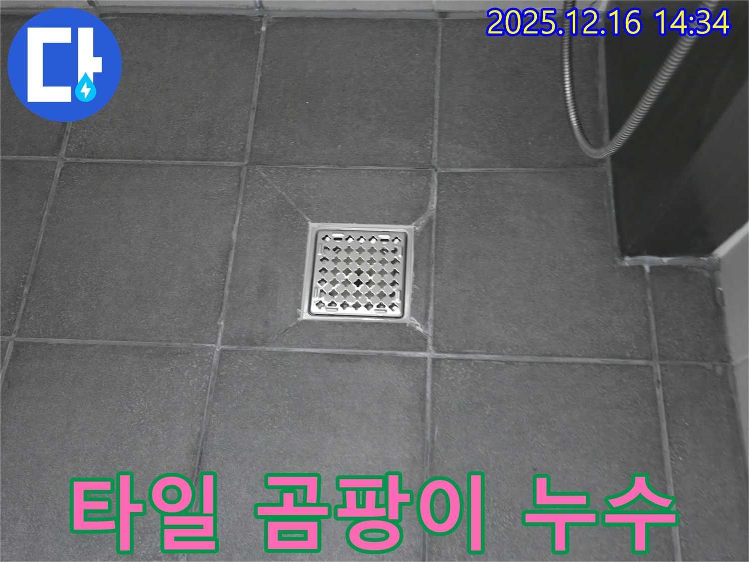 욕실 배수구 주변 타일 곰팡이 - 곰팡이 제거 및 방수 재시공
