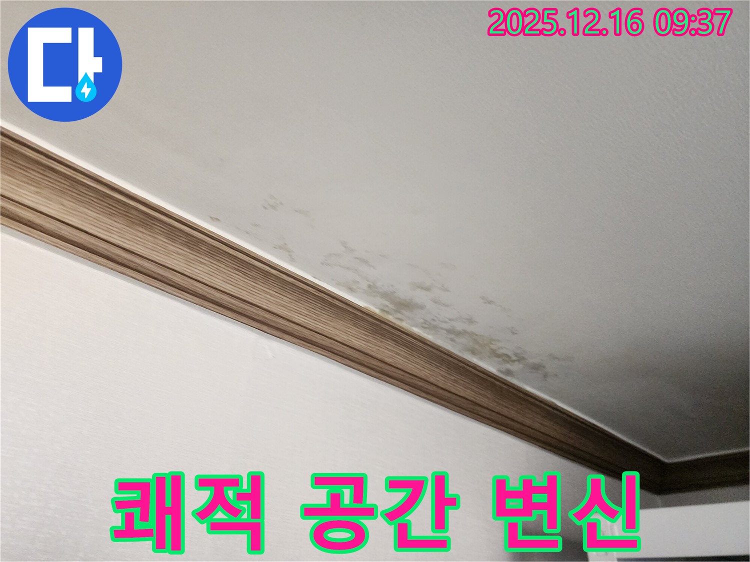 경기도 포천시 영북면 곰팡이 핀 천장 - 쾌적한 공간으로 완벽 변신!