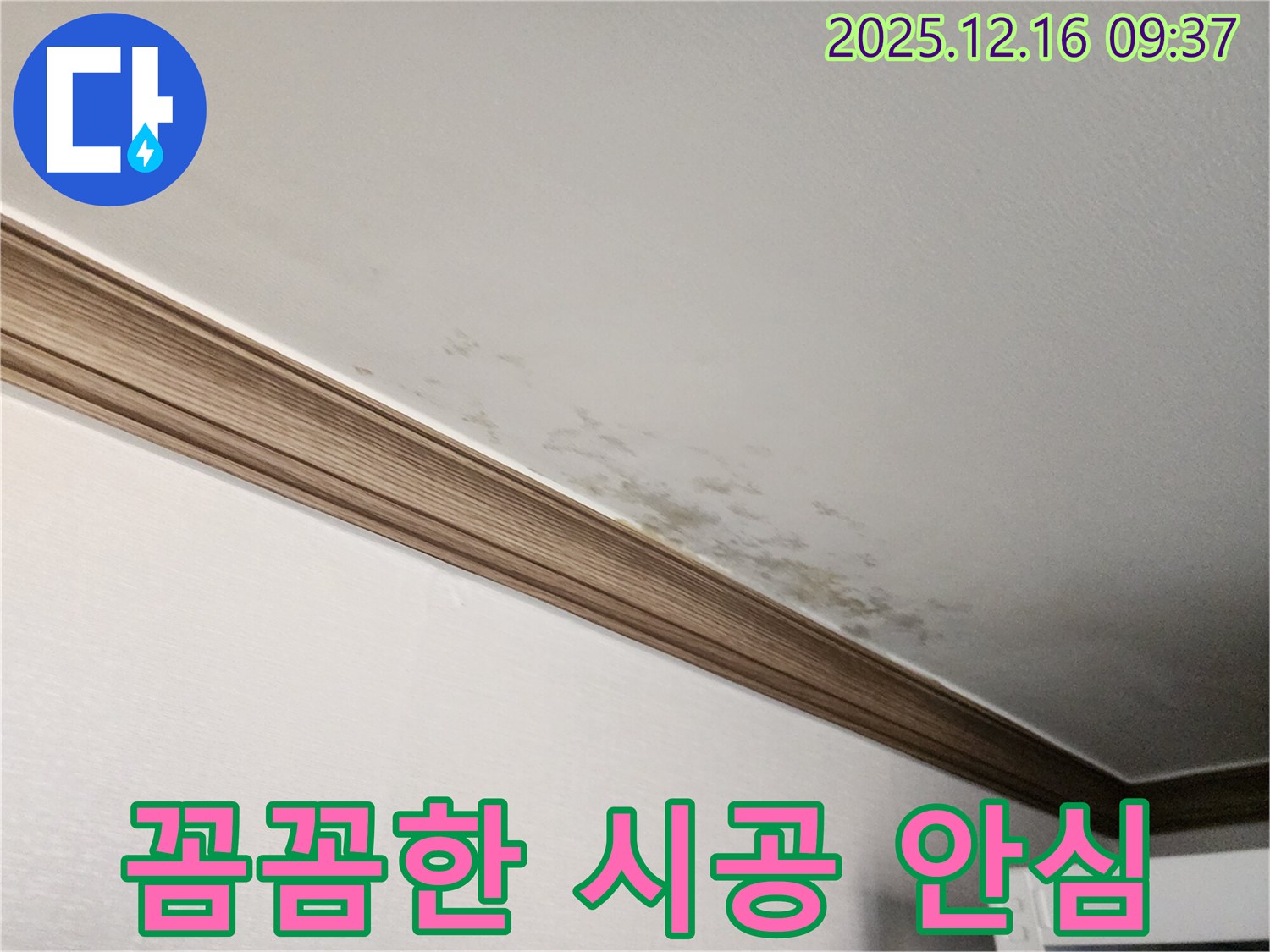 경기도 포천시 영북면 운천리 곰팡이 핀 천장 - 꼼꼼한 시공으로 안심하세요!