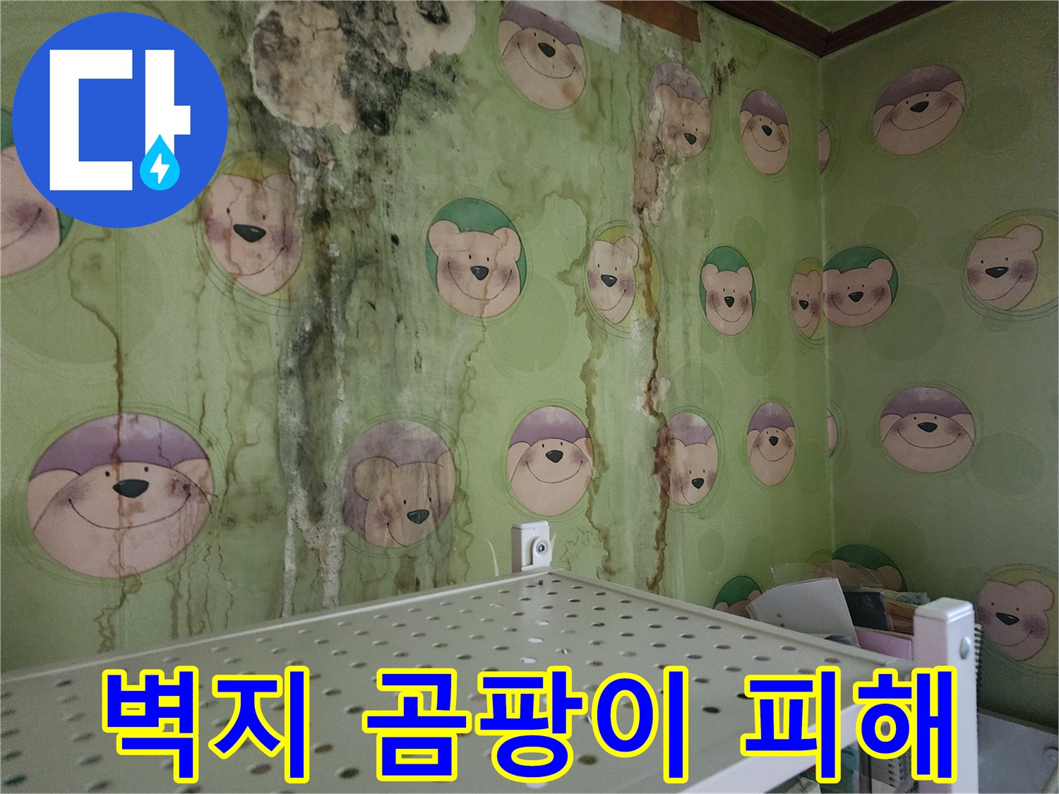 광범위하게 퍼진 벽지 곰팡이와 습기 얼룩