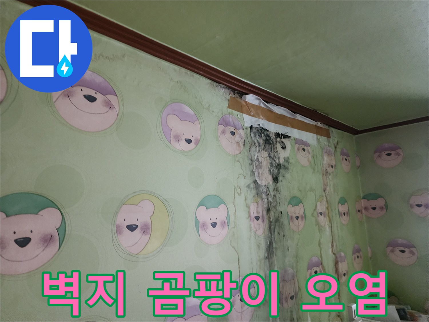 물샘으로 인한-벽지 곰팡이 침투 현장