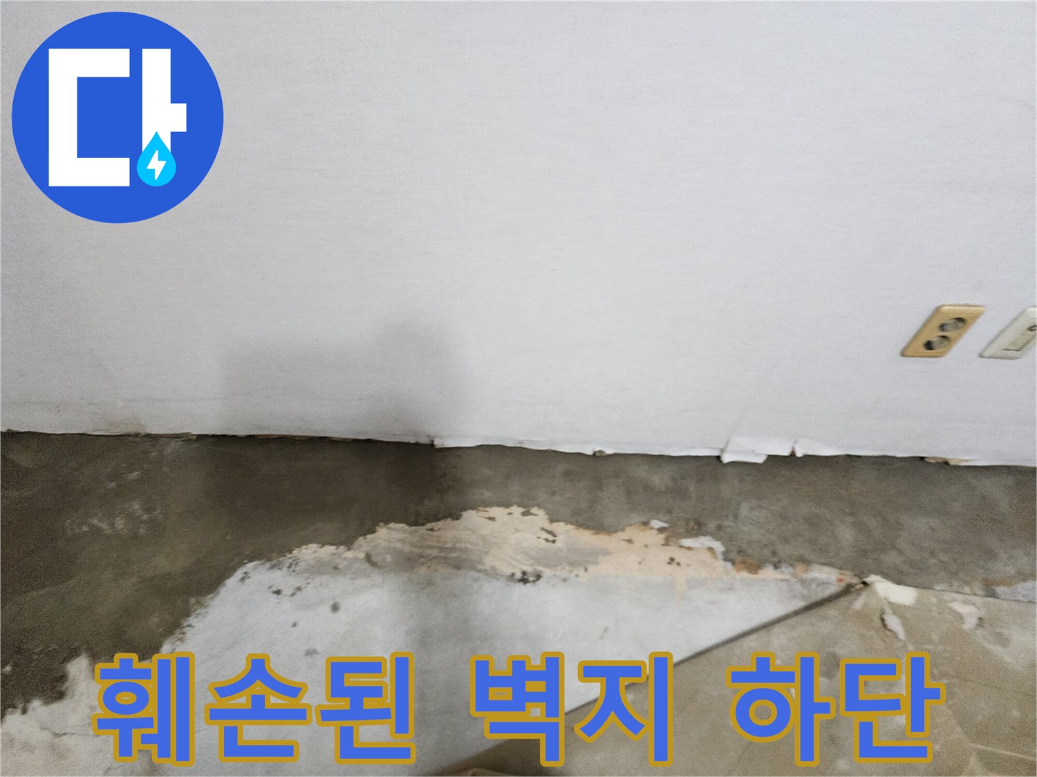 물샘으로 인해 곰팡이가 발생한 벽지 하단부 모습