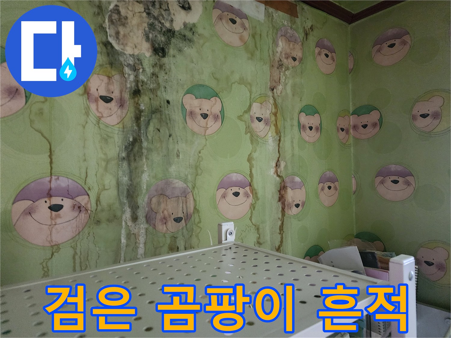 벽지 위에 번진 검은색 곰팡이 얼룩