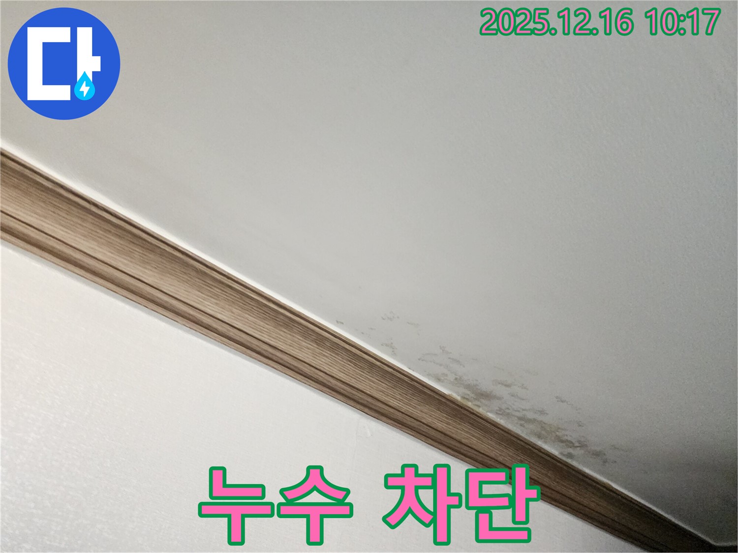 영북면 곰팡이 천장 - 누수 전문가의 완벽한 누수 차단 시공