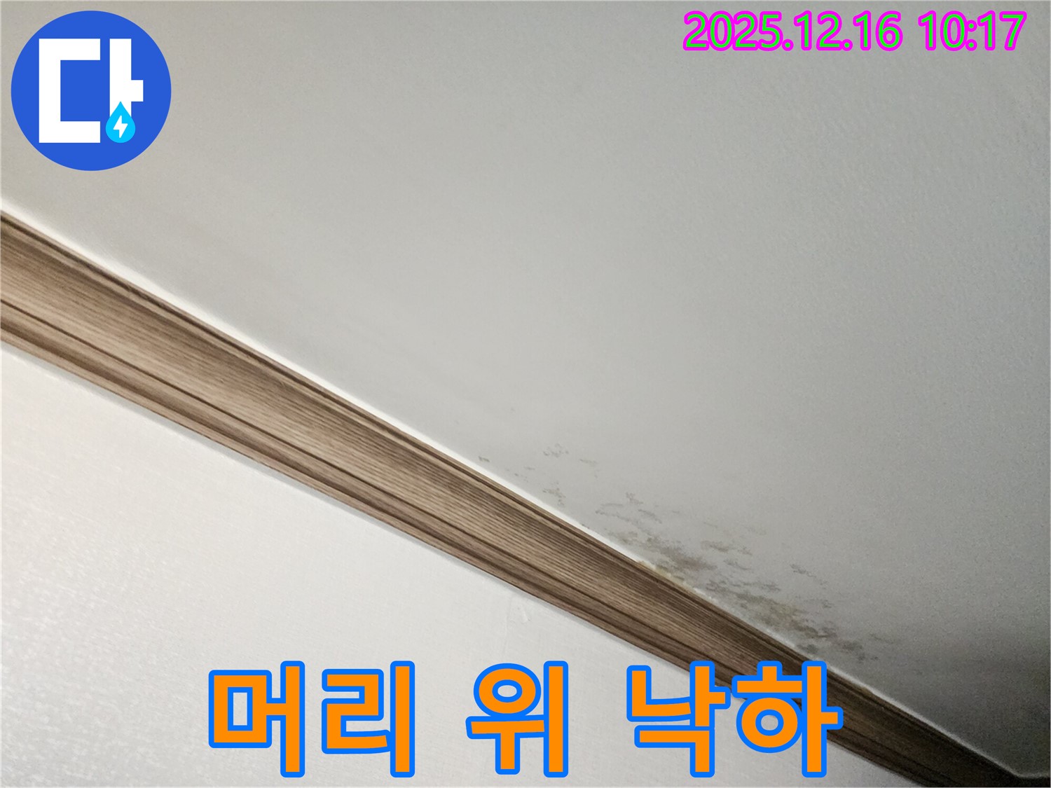 영북면 운천리 곰팡이 천장 - 곰팡이, 머리 위로 떨어진다?!