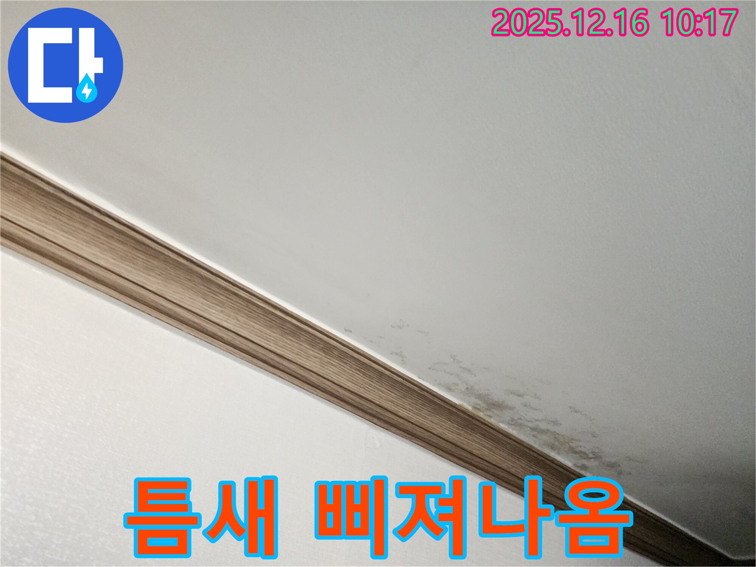 영북면 운천리 곰팡이 천장 - 곰팡이, 벽 틈새로 삐져나온다?!