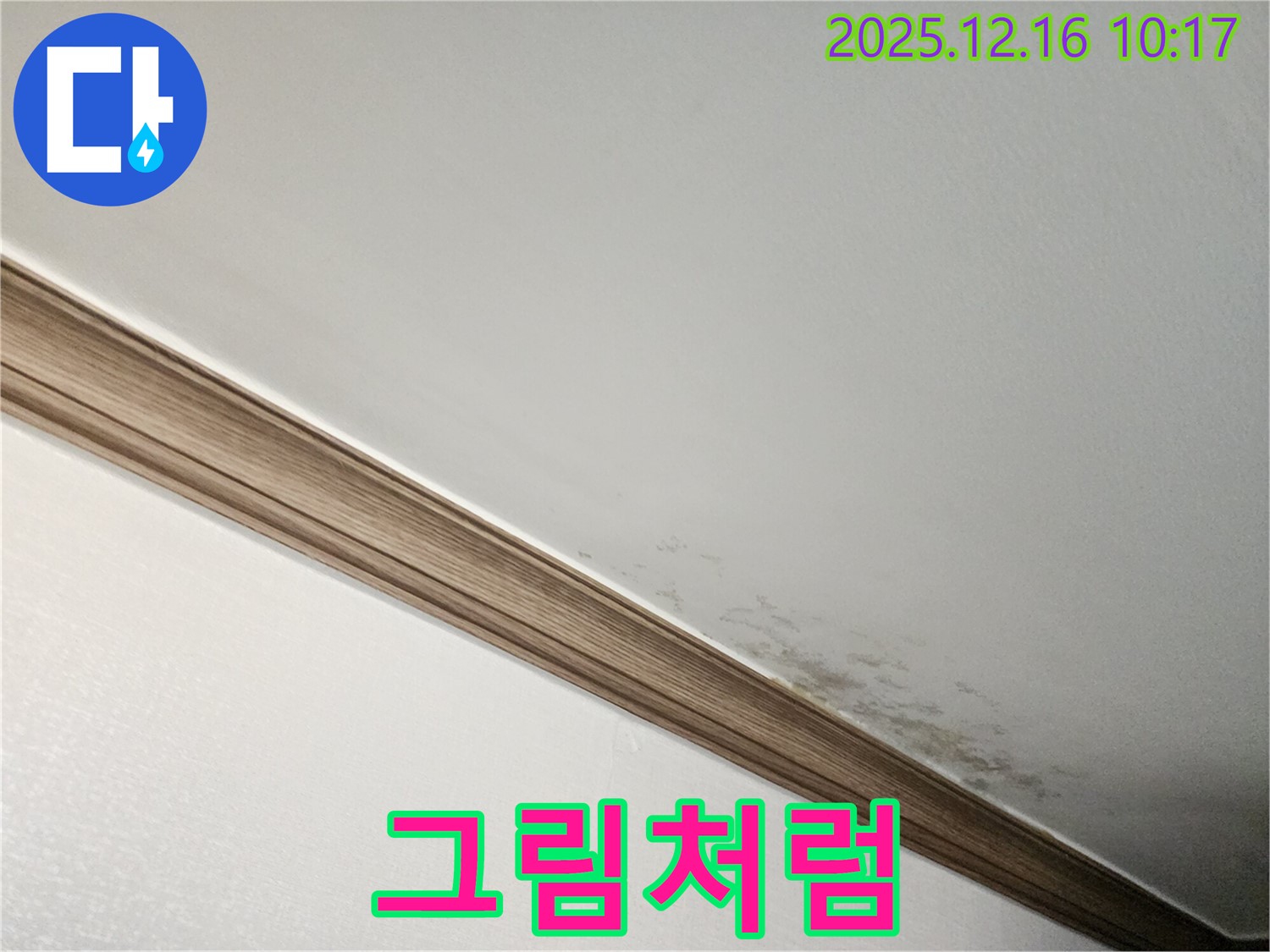 영북면 운천리 곰팡이 천장 - 곰팡이, 벽에 그림처럼 번진다?!