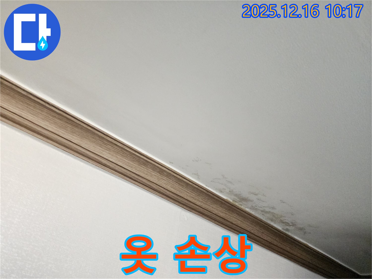 영북면 운천리 곰팡이 천장 - 곰팡이, 옷장 속 옷까지 망친다!
