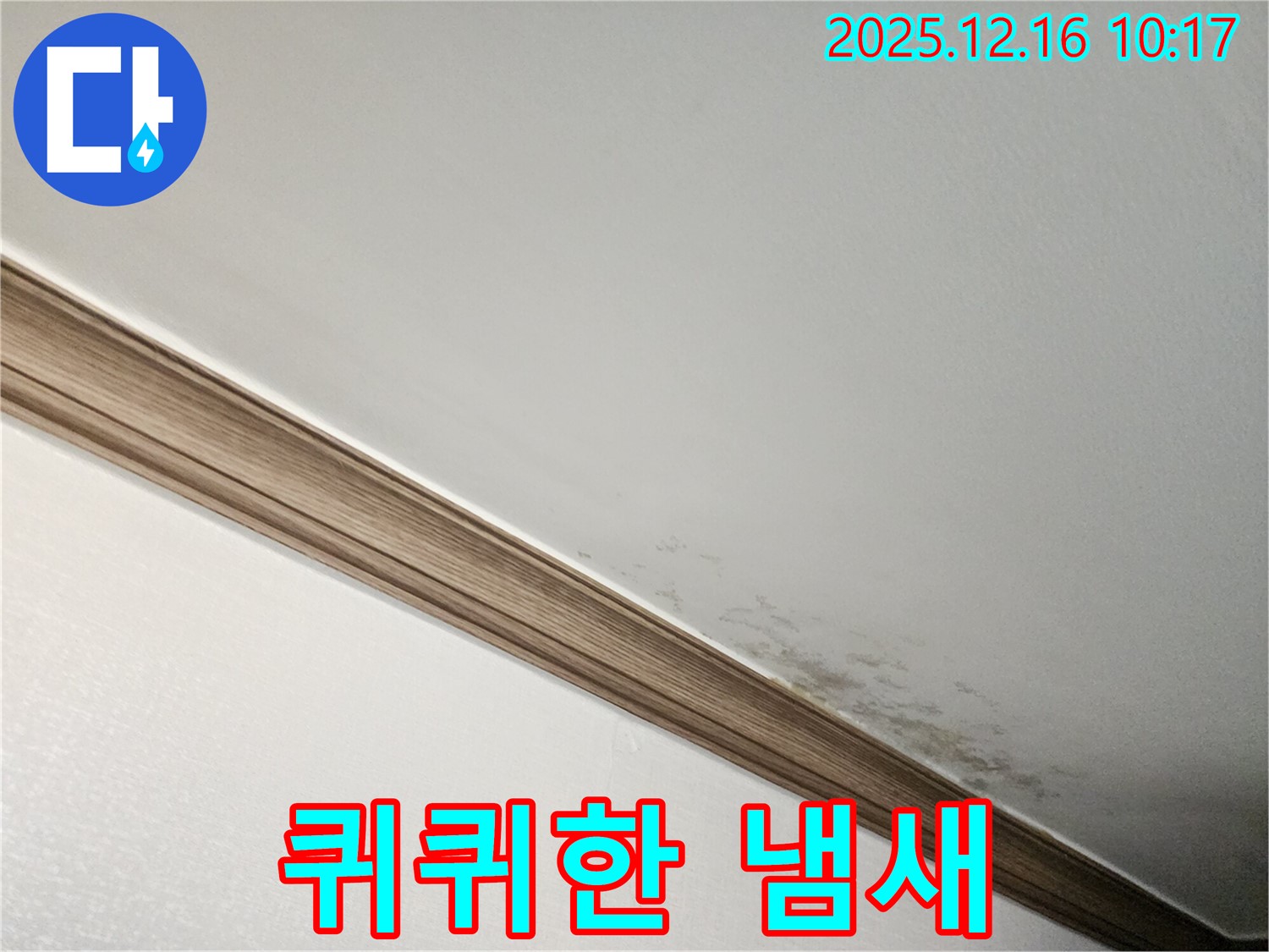 영북면 운천리 곰팡이 천장 - 곰팡이, 퀴퀴한 냄새 진동?!