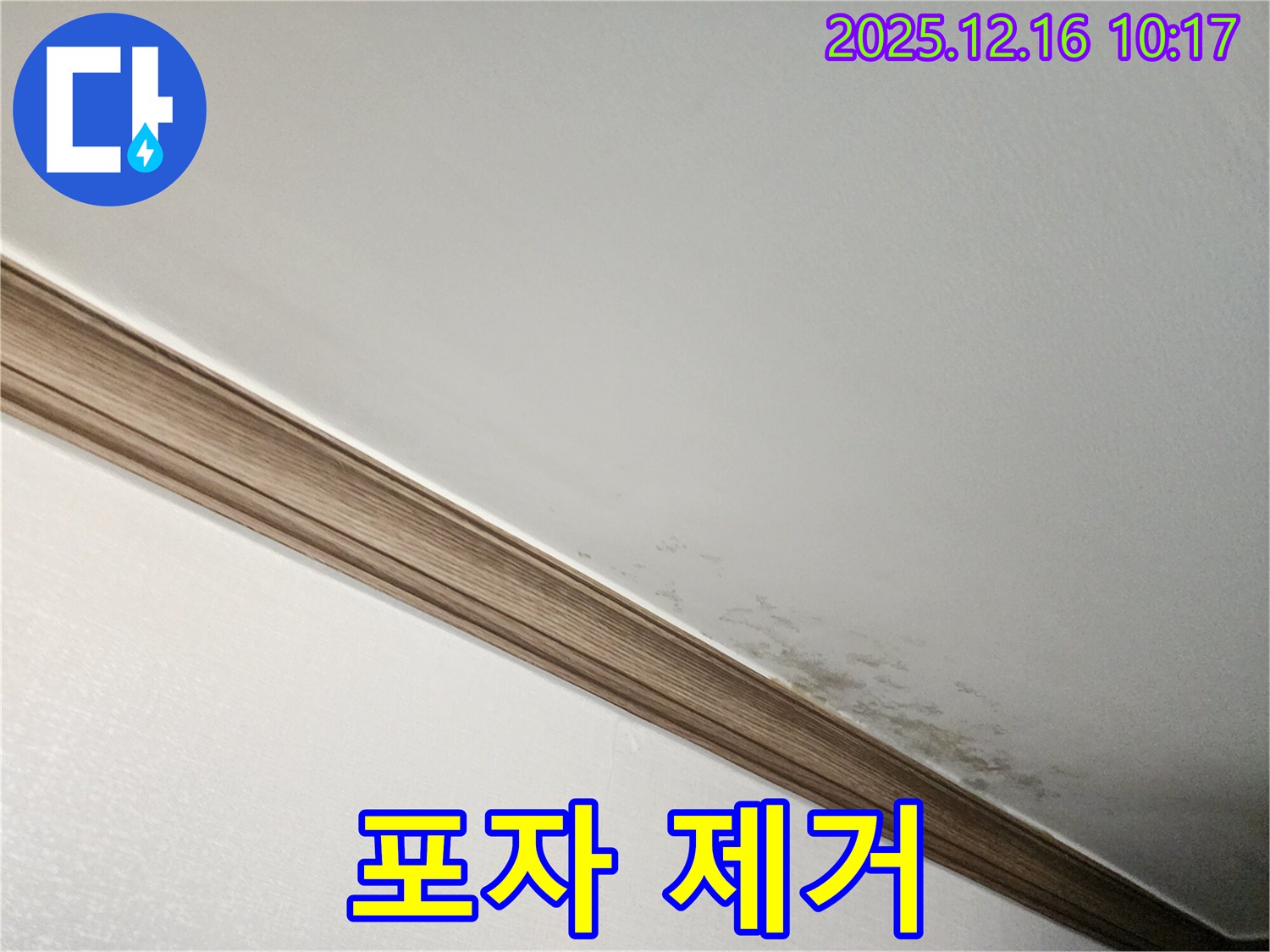 영북면 운천리 곰팡이 천장 - 곰팡이 포자까지 완벽 제거